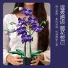 JIESTAR JJ9235 9235 HOA LAN MÀU TÍM bộ đồ chơi xếp lắp ráp ghép mô hình Creator ELEGANT VIOLET Sáng Tạo 666 khối
