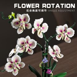 BEAUTY AND 13113 QIDELAN bộ đồ chơi xếp lắp ráp ghép mô hình Creator CYMBIDIUM Sáng Tạo 736 khối