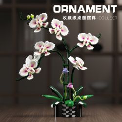BEAUTY AND 13113 QIDELAN bộ đồ chơi xếp lắp ráp ghép mô hình Creator CYMBIDIUM Sáng Tạo 736 khối
