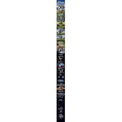 KAIYU KEEYEE WORLD K96222 96222 MÁY MÓC BIONIC SPINOSAURUS bộ đồ chơi xếp lắp ráp ghép mô hình