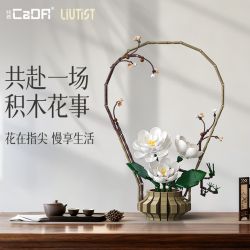 CaDA DoubleE C59026 Xếp hình lắp ráp ghép mô hình Nghệ thuật cắm hoa theo chủ nghĩa Livtist Trung Quốc: Yidong