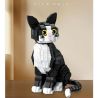 ZHEGAO 662501 Xếp hình lắp ráp ghép mô hình mèo tuxedo