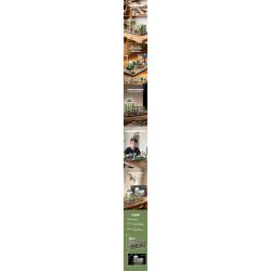 Xbert 66128 Dinosur Museum Xếp hình lắp ráp ghép mô hình Bảo tàng khủng long