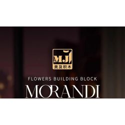 Beautiful and 13112 Morandi Xếp hình lắp ráp ghép mô hình Bó hoa Morandi