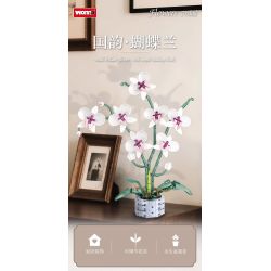 WOMA 11055 Flowers Orchid Xếp hình lắp ráp ghép mô hình Nhịp điệu quốc gia Phalaenopsis