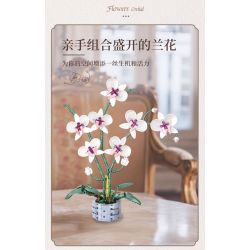 WOMA 11055 Flowers Orchid Xếp hình lắp ráp ghép mô hình Nhịp điệu quốc gia Phalaenopsis