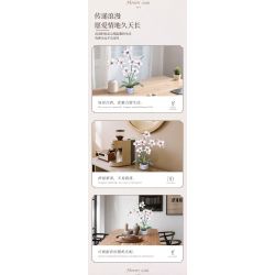 WOMA 11055 Flowers Orchid Xếp hình lắp ráp ghép mô hình Nhịp điệu quốc gia Phalaenopsis