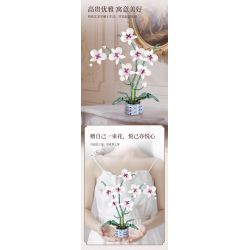 WOMA 11055 Flowers Orchid Xếp hình lắp ráp ghép mô hình Nhịp điệu quốc gia Phalaenopsis