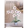 WOMA 11055 Flowers Orchid Xếp hình lắp ráp ghép mô hình Nhịp điệu quốc gia Phalaenopsis