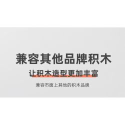 WANGE LIGAO Dr.Luck 096-1 Xếp hình lắp ráp ghép mô hình Hạt lớn số lượng lớn