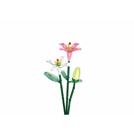 Pleyerid M38-B1101-07 Xếp hình lắp ráp ghép mô hình PLEYERID-hoa huệ trái tim mềm mại