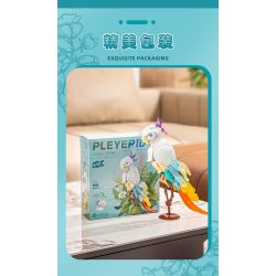 Pleyerid M38-P8095 Parrot Xếp hình lắp ráp ghép mô hình Con vẹt