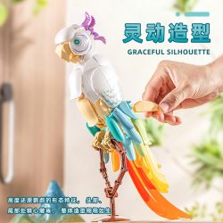 Pleyerid M38-P8095 Parrot Xếp hình lắp ráp ghép mô hình Con vẹt