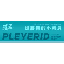 Pleyerid M38-P8095 Parrot Xếp hình lắp ráp ghép mô hình Con vẹt