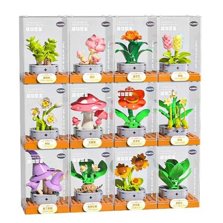 Femibox S5443 Xếp hình lắp ráp ghép mô hình 12 loại hình minh họa thực vật