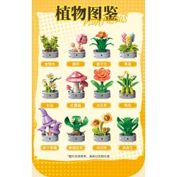 Femibox S5443 Xếp hình lắp ráp ghép mô hình 12 loại hình minh họa thực vật