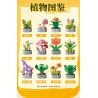 Femibox S5443 Xếp hình lắp ráp ghép mô hình 12 loại hình minh họa thực vật