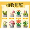 Femibox S5443 Xếp hình lắp ráp ghép mô hình 12 loại hình minh họa thực vật