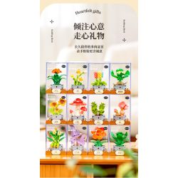 Femibox S5443 Xếp hình lắp ráp ghép mô hình 12 loại hình minh họa thực vật