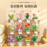 Femibox S5443 Xếp hình lắp ráp ghép mô hình 12 loại hình minh họa thực vật