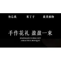 JIESTAR JJ9258 Xếp hình lắp ráp ghép mô hình bó hoa màu tím