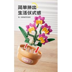 Femibox S5449 Xếp hình lắp ráp ghép mô hình 9 cảnh hoa sáng tạo của Trung Quốc: hoa sen, hoa cúc, hoa thủy tiên, cây thông chào đón, hoa hướng dương, quất, hoa hồng đỏ, hoa mùa đông may mắn, hoa lan hồ điệp