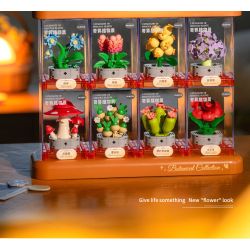 Femibox S5308 Xếp hình lắp ráp ghép mô hình bộ sưu tập thực vật