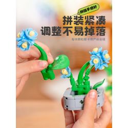 Femibox S5308 Xếp hình lắp ráp ghép mô hình bộ sưu tập thực vật