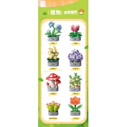 Femibox S5308 Xếp hình lắp ráp ghép mô hình bộ sưu tập thực vật