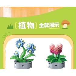 Femibox S5308 Xếp hình lắp ráp ghép mô hình bộ sưu tập thực vật