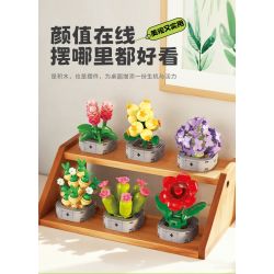 Femibox S5308 Xếp hình lắp ráp ghép mô hình bộ sưu tập thực vật