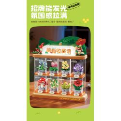 Femibox S5308 Xếp hình lắp ráp ghép mô hình bộ sưu tập thực vật