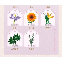 PanlosBrick 655079 Panlos Brick 655079 TẤM VÀNG HÌNH BÁT GIÁC bộ đồ chơi xếp lắp ráp ghép mô hình Creator Sáng Tạo 36 khối