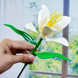 WOMA C2021 2021 CHUYỆN HOA BÓNG NỔI 8 KIỂU bộ đồ chơi xếp lắp ráp ghép mô hình Creator Sáng Tạo