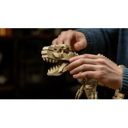 NIFELIZ NF10343 10343 HÓA THẠCH KHỦNG LONG BẠO CHÚA bộ đồ chơi xếp lắp ráp ghép mô hình Creator T.REX FOSSILS MODEL TOY Sáng Tạo 826 khối