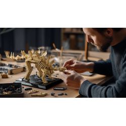 NIFELIZ NF10353 10353 HÓA THẠCH STEGOSAURUS bộ đồ chơi xếp lắp ráp ghép mô hình Creator STEGOSAURUS FOSSILS Sáng Tạo 665 khối
