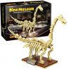 LINOOS LN7007 7007 non  BỘ XƯƠNG BRACHIOSAURUS bộ đồ chơi xếp lắp ráp ghép mô hình Dino Museum DINO MUSEUM BRACHIOSAURUS Bảo Tàng Khủng Long 179 khối