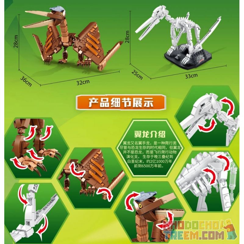 PanlosBrick 612006 Panlos Brick 612006 non  CANH bộ đồ chơi xếp lắp ráp ghép mô hình Dino DINOSAURIA PTEROSAURIA Khủng Long 758 khối