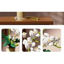 QIZHILE 92000 non  PHALAENOPSIS. bộ đồ chơi xếp lắp ráp ghép mô hình Creator Expert Chuyên Gia Sáng Tạo 588 khối
