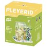 PLEYERID M38-P8021 P8021 8021 M38P8021 38-P8021 non  VƯỜN XUÂN ĐẮM CHÌM bộ đồ chơi xếp lắp ráp ghép mô hình Creator Sáng Tạo