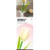JAKI JK29317 29317 non  NHẬT KÝ THỰC VẬT HOA TULIP NGÔI SAO TỎA SÁNG bộ đồ chơi xếp lắp ráp ghép mô hình Creator Sáng Tạo