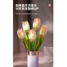 JAKI JK29317 29317 non  NHẬT KÝ THỰC VẬT HOA TULIP NGÔI SAO TỎA SÁNG bộ đồ chơi xếp lắp ráp ghép mô hình Creator Sáng Tạo