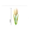 JAKI JK29317 29317 non  NHẬT KÝ THỰC VẬT HOA TULIP NGÔI SAO TỎA SÁNG bộ đồ chơi xếp lắp ráp ghép mô hình Creator Sáng Tạo