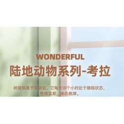 WANGE LIGAO DR.LUCK 1614 non  QUÁI THÚ TUYỆT VỜI KOALA bộ đồ chơi xếp lắp ráp ghép mô hình Creator Sáng Tạo 117 khối