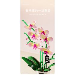 TAKUKI T6005 6005 non  TIỆC SÂN VƯỜN GẶP GỠ MÙA XUÂN bộ đồ chơi xếp lắp ráp ghép mô hình Creator Sáng Tạo