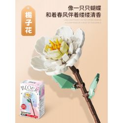 FEMIBOX S2250 2250 non  CÂY DÀNH bộ đồ chơi xếp lắp ráp ghép mô hình Creator Sáng Tạo 95 khối