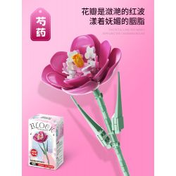 FEMIBOX S2248 2248 non  HOA MẪU ĐƠN bộ đồ chơi xếp lắp ráp ghép mô hình Creator Sáng Tạo 79 khối