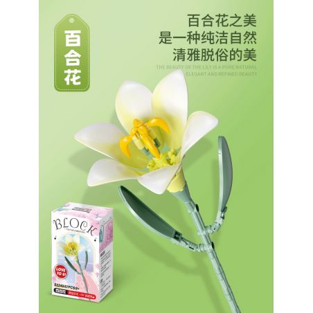 FEMIBOX S2220 2220 S2249 2249 S2219 2219 non  HOA LOA KÈN bộ đồ chơi xếp lắp ráp ghép mô hình Creator Sáng Tạo 57 khối