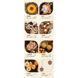 JAKI JK2511 2511 non  TẠP CHÍ THỰC VẬT HOA TREO TƯỜNG NGHỆ THUẬT BẮC ÂU ĐƯỢC BẢO QUẢN bộ đồ chơi xếp lắp ráp ghép mô hình Creator NORDIC ART WALL FLOWER Sáng Tạo