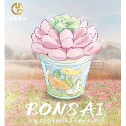 MANGE TECHNOLOGY 9127 non  CHẬU CÂY DỄ THƯƠNG CÁ RUBY bộ đồ chơi xếp lắp ráp ghép mô hình Creator BONSAI ECHEVERIA PINK RUBBY Sáng Tạo 172 khối